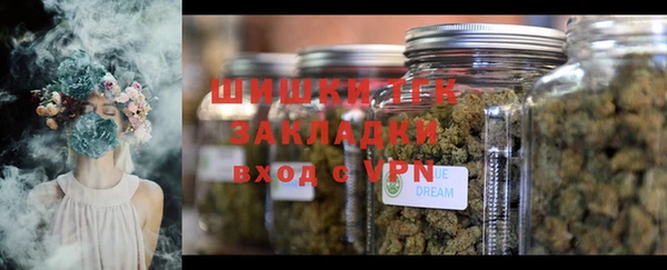 сатива Бронницы