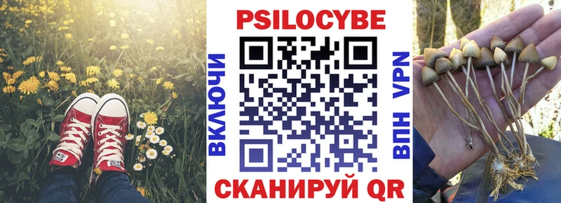 Псилоцибиновые грибы Magic Shrooms  мега вход  Мариинский Посад  купить наркотики сайты 